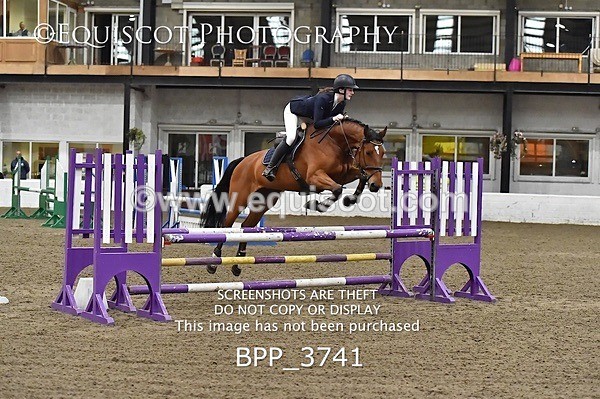 BPP_3741 - FRI CLASS 21 BR NOVICE/90CM