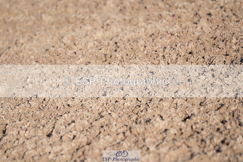 251130-132304-01235 - Cls 15 - 17 Children on Horses