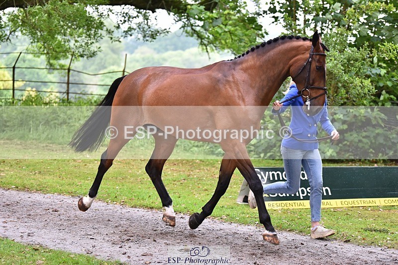 240522-172322-01570 - 278-DSH_MR_D-Caroline_Harris