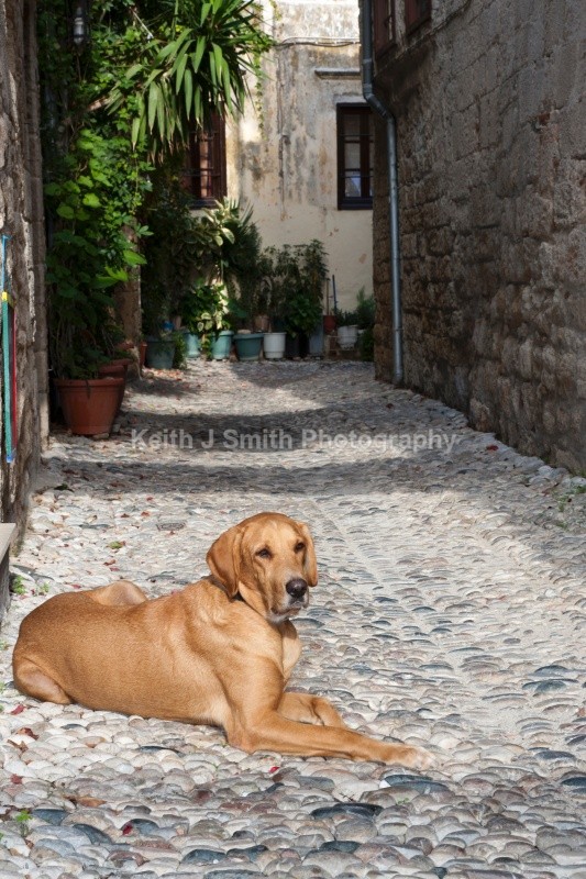 YR6M8105  (RM) - Worldwide