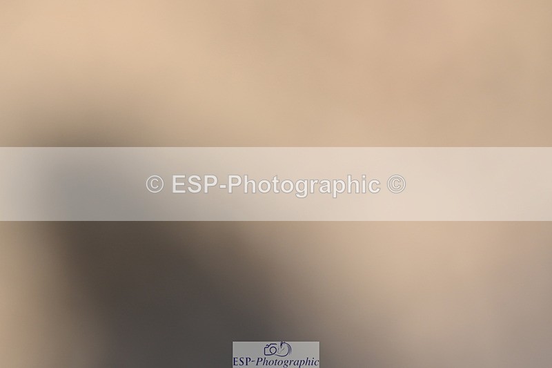 240323A-112011-01564 - DR Prelim 18