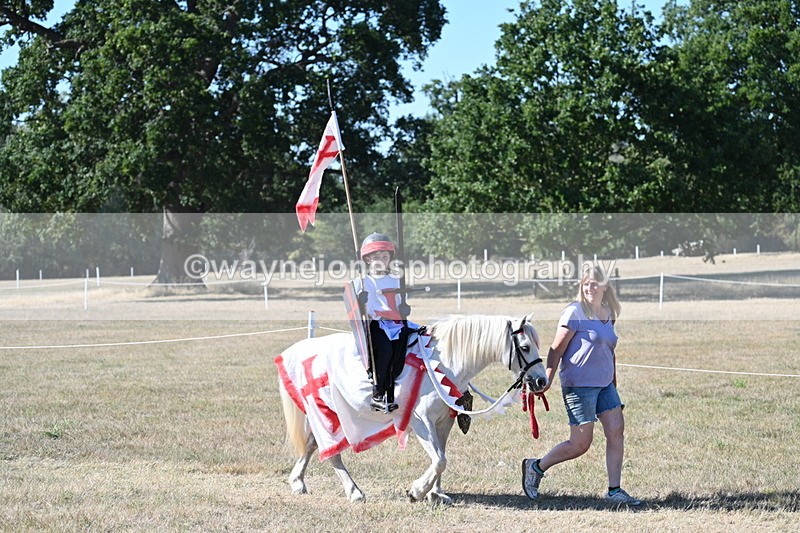 WJ7_2438 - Class 45 Fancy Dress (My Fav)