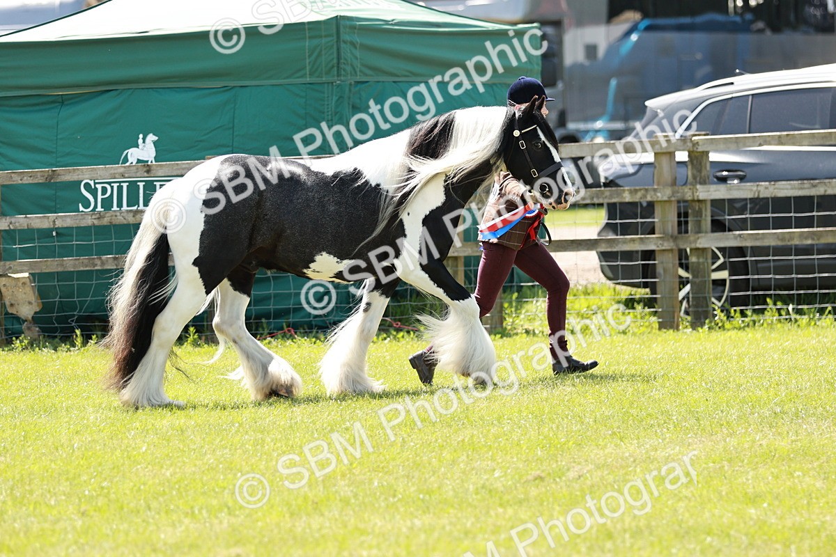SBM_05545 - Class 41-45 - Riding Pony-Hunter Pony Breeding