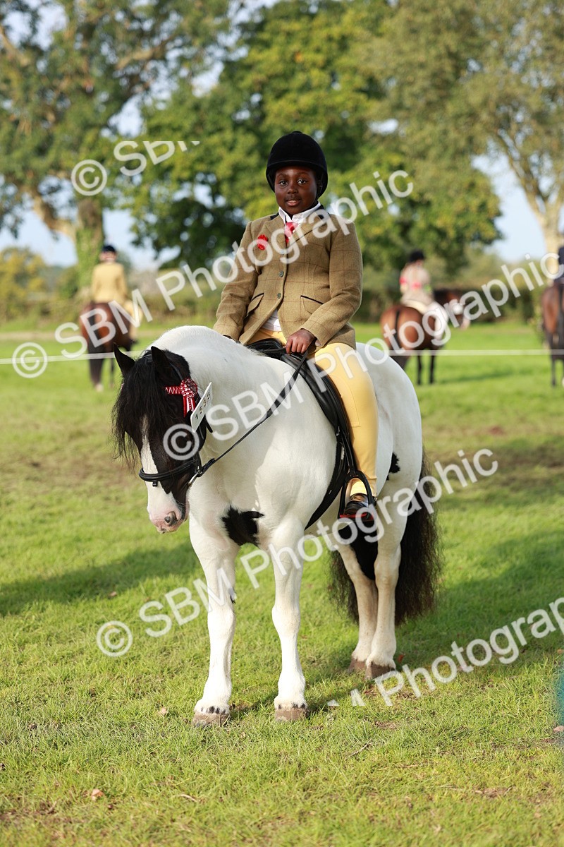 SBM_56403 - S39 - Starters In Hand Showing