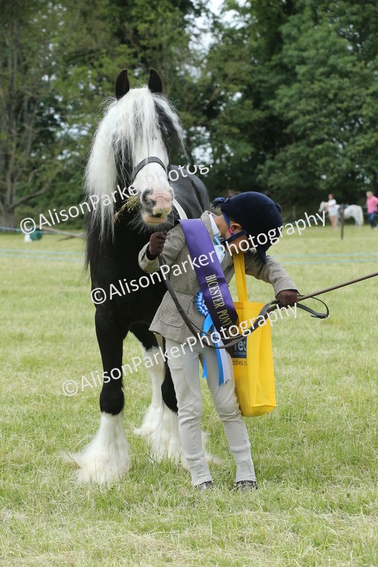 20260614-4314 - Class 18 - Best Junior Handler