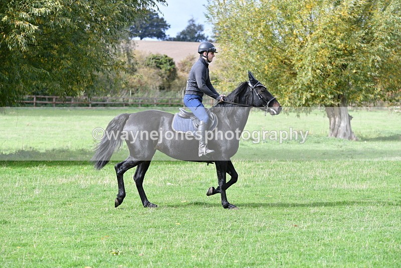 WJ5_9316 - Time 13:03 to 13:25