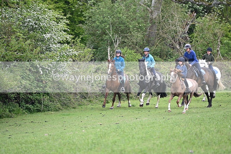 WJ6_2941 - A Camera