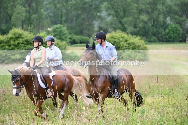 WJ6_8465 - Camera 1 Gallops