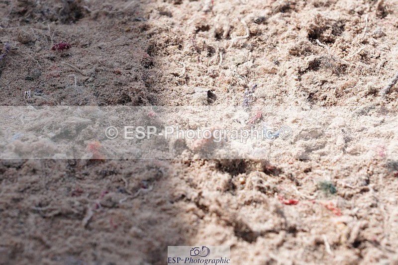 250427-113246-16250 - Cls 4 - 2 Star Small Tour