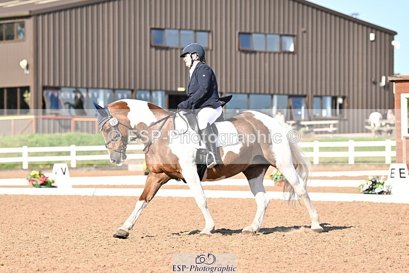 240816A-165052-06288 - 307-Rachel.Cook-Tiger.lily.vi