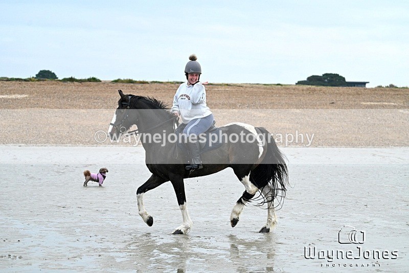 WJ7_8752 - Hayling Island Beach Shoot 22-09-24