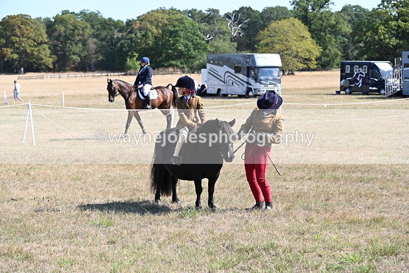 WJ6_7560 - Class 34 Judges Choice