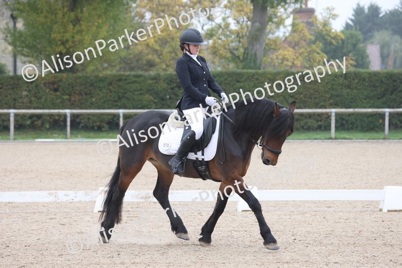 20251012-0445 - Class 3 - Novice 5