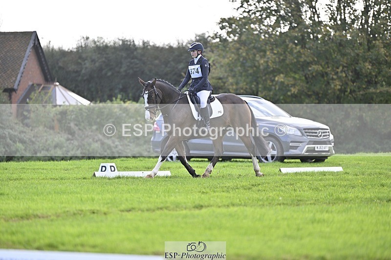 241025-120438-07011 - 374-Bella.Balian-BEECHWOOD.JOEY