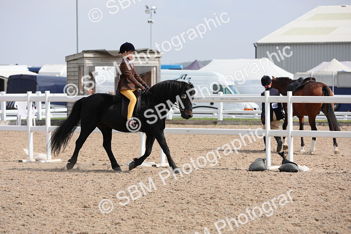 SBM_14704 - Class 310 First Ridden Pony