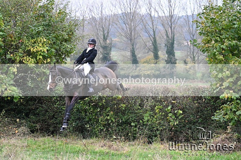 WJ7_8394 - Edited Examples