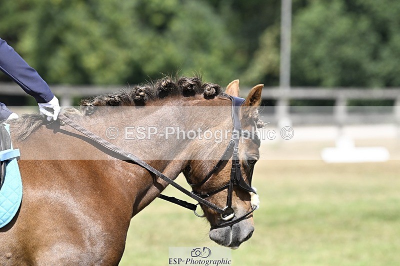 250821A-120057-15411 - DR 11.00 to 12.00