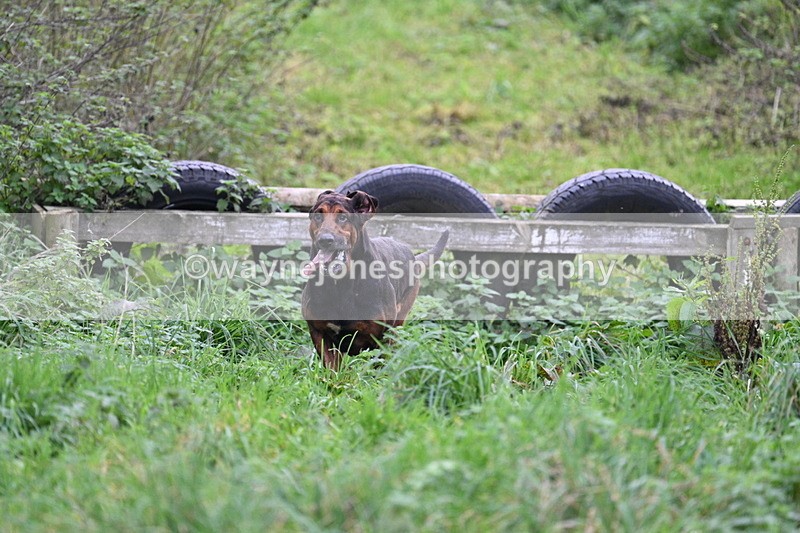 WJ7_8977 - Camera 1 only on this line