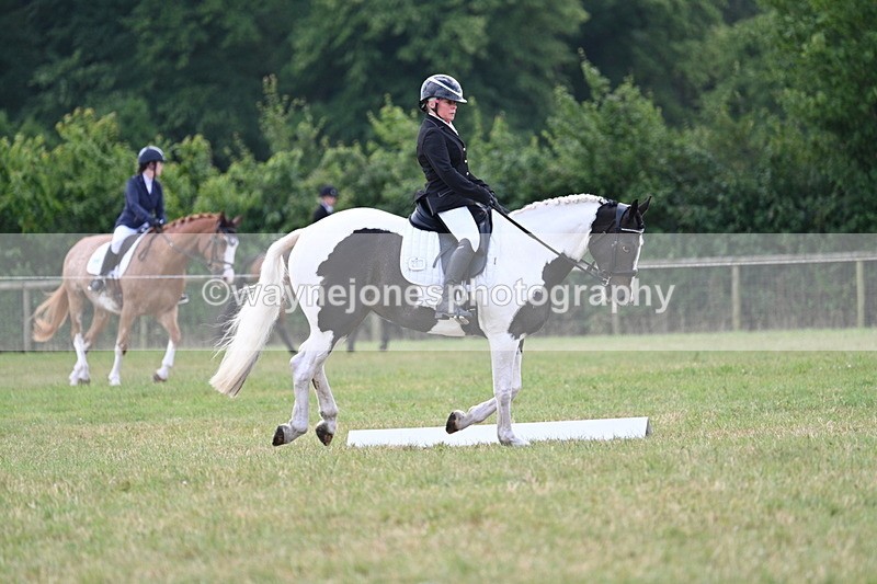 WJ7_5272 - Time 11:22 to 11:51