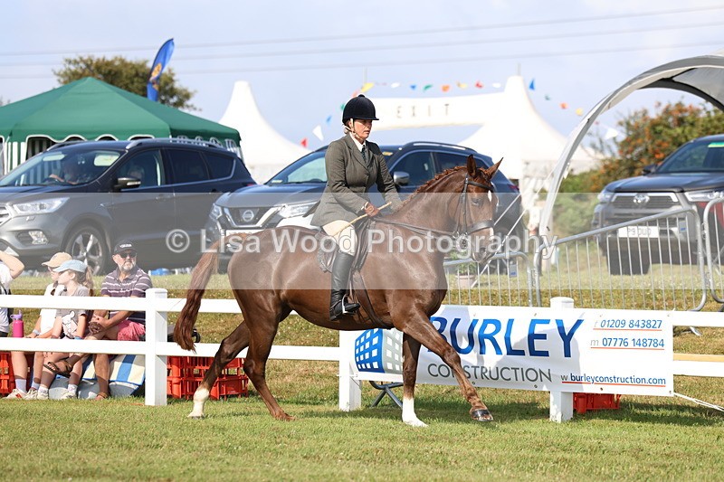 3E7A8544 - Class 3: Rising Star S/L Hunter