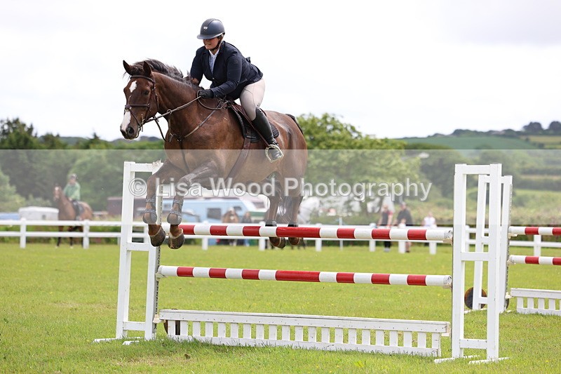 3E7A7081 - Class 12: Senior Foxhunter/1.20 open