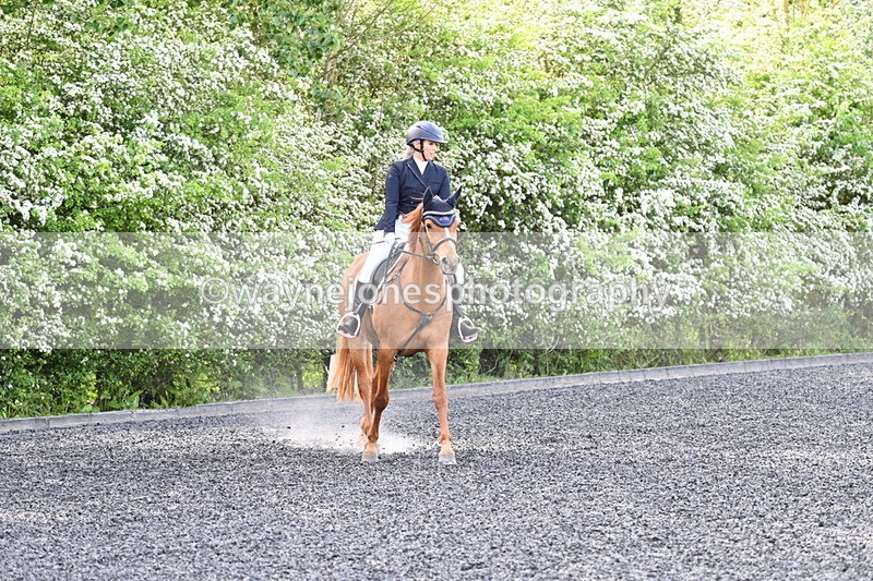 WJ7_7907 - Time 10:11 to 10:27