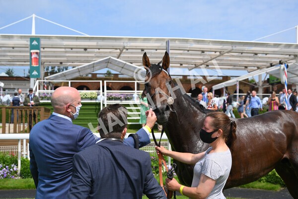yr10072021r2-38 - Race 2: 2.20pm John Smith's Silver Cup Stakes