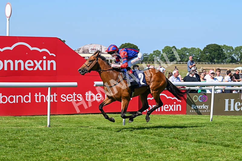 250624-Race 5-Drink Dry-5796 - Race 5