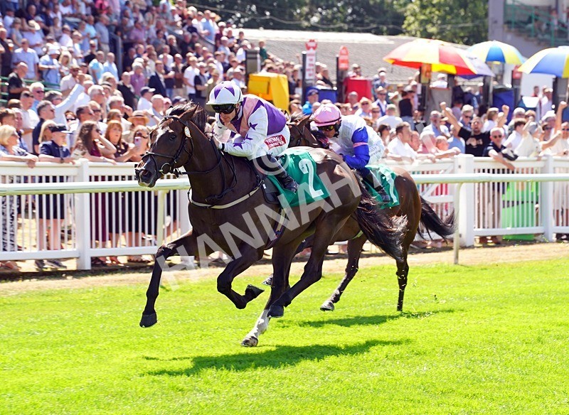 240726-Race 2-Blakey Ridge-01121 - Race 2 14.30pm Sky Bet For The Fans EBF Novice Stakes