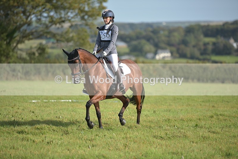 RAY_7533 - Class 2B: Trekenning Open: Dressage