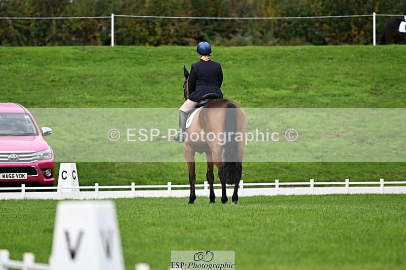 251023A-113829-03631 - G-514-Carolyn.Price With Trot Up