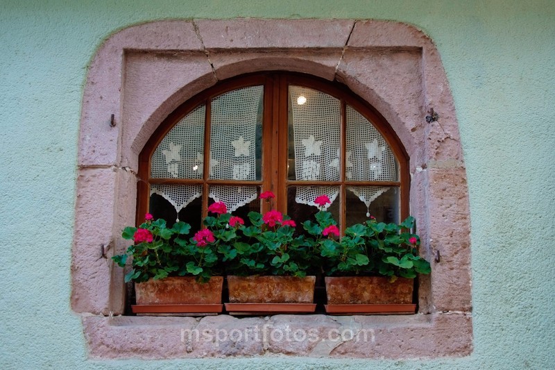 Window box - Travel, city/land scapes