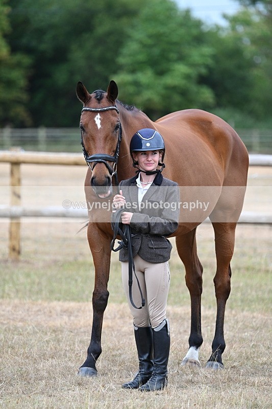 WJ7_9923 - Class 5a Most Handsome Gelding (above 14.2hh)