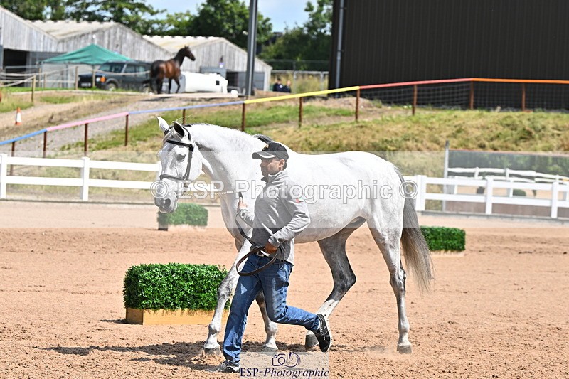 240718A-105258-01387 - Trot Up 12pm to 1pm