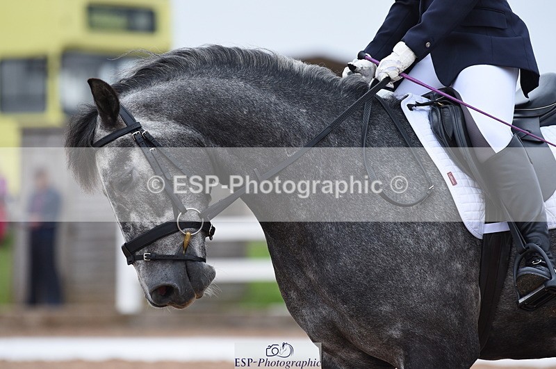 230708A-103724-01411 - Prelim 7