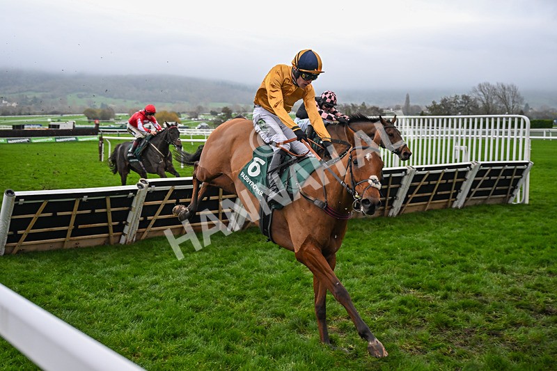 151125-Race 5-Kikijo-3979 - Race 5