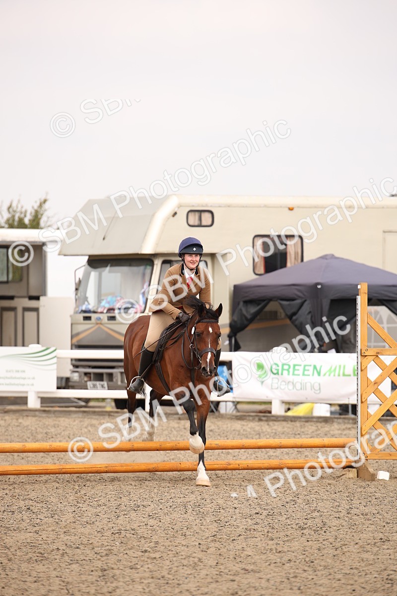 SBM_12242 - Class 405a - M&M Working Veteran 50cm (15-19)