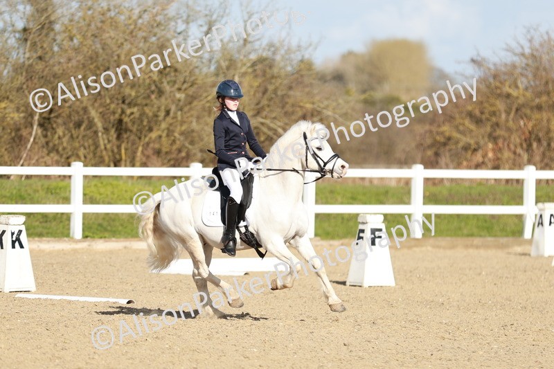 20260314-4525 - DR4 - Prelim 2