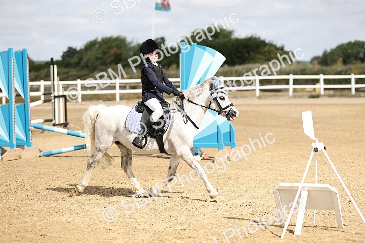 SBM_003277 - 40cm showjumping