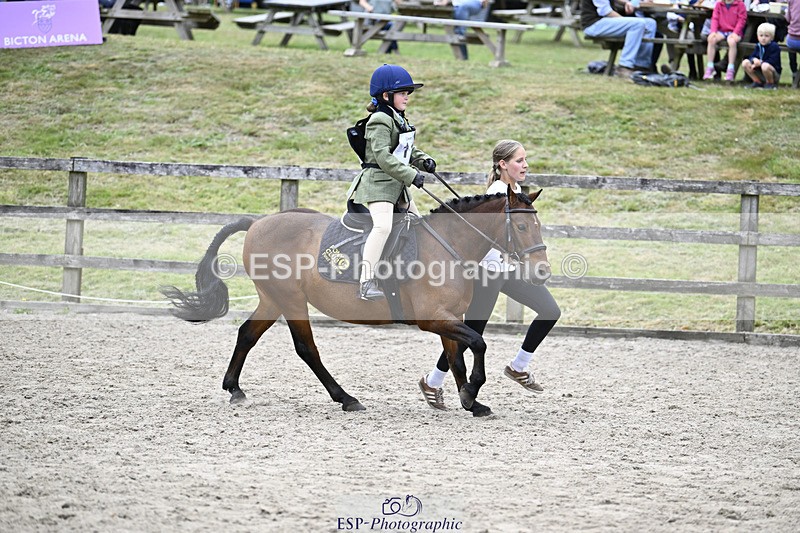 240822X-125933-07742 - 40cm LR R2 13.00 to 15.00