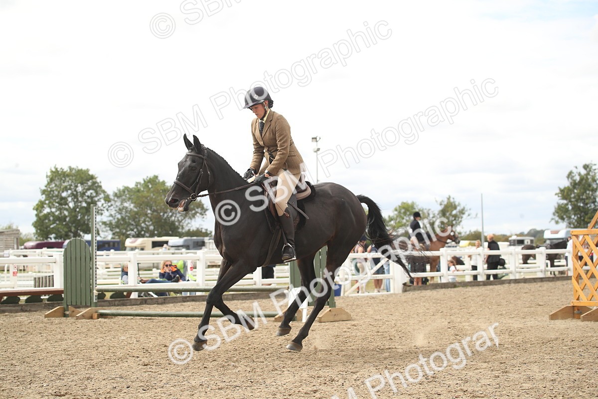 SBM_16768 - Class 507b - Working Veteran 60cm (20+)