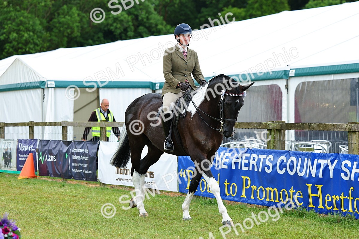 SBM_02459 - Class 9-11 Side Saddle including LIHS Rising Star Ladies Show Horse