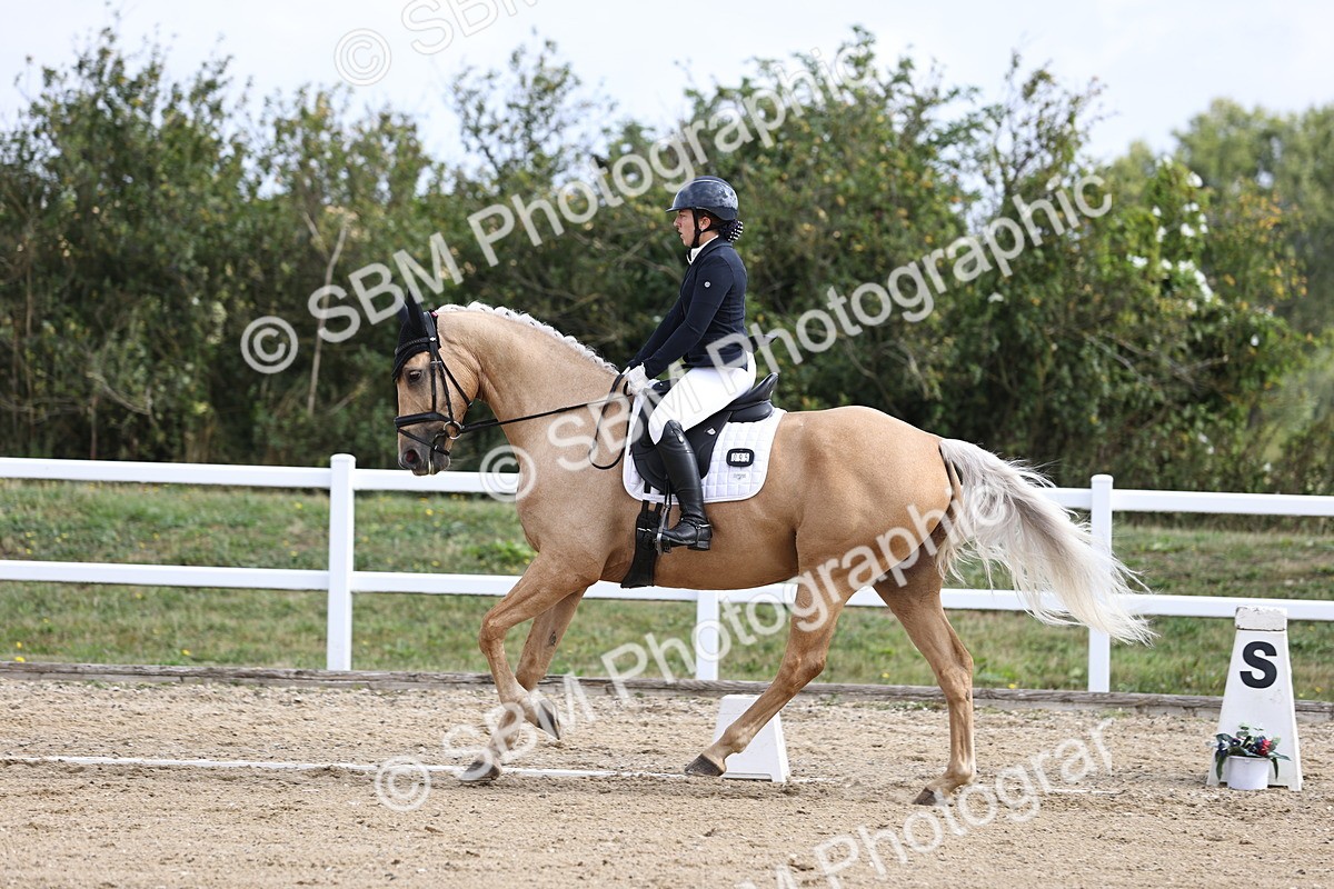 SBM_015398 - Class 14 - Novice 23 - 9.05-10.08