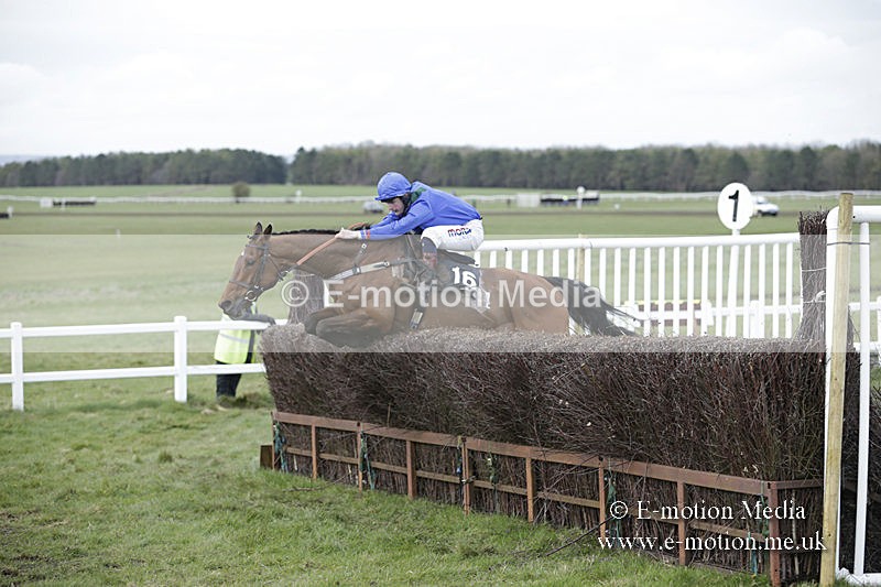 PtP 150320 0700 - New Forest Point-to-Point Larkhill 15/03/20