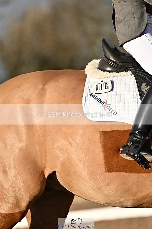 241214-140556-02711 - 116-Beth.Miller-U-Gino