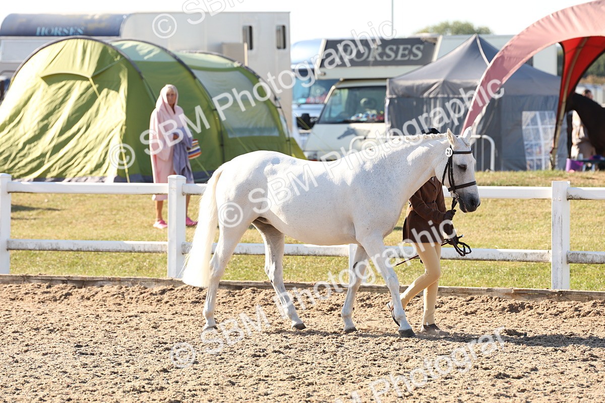 SBM_11626_Class 203 - Young Handler 10 Years and Under - Vicky Gutteridge