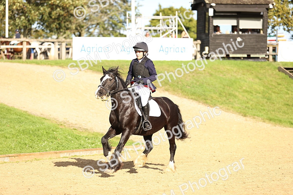 SBM_51502 - J10 - Junior Pony 75cm Championship