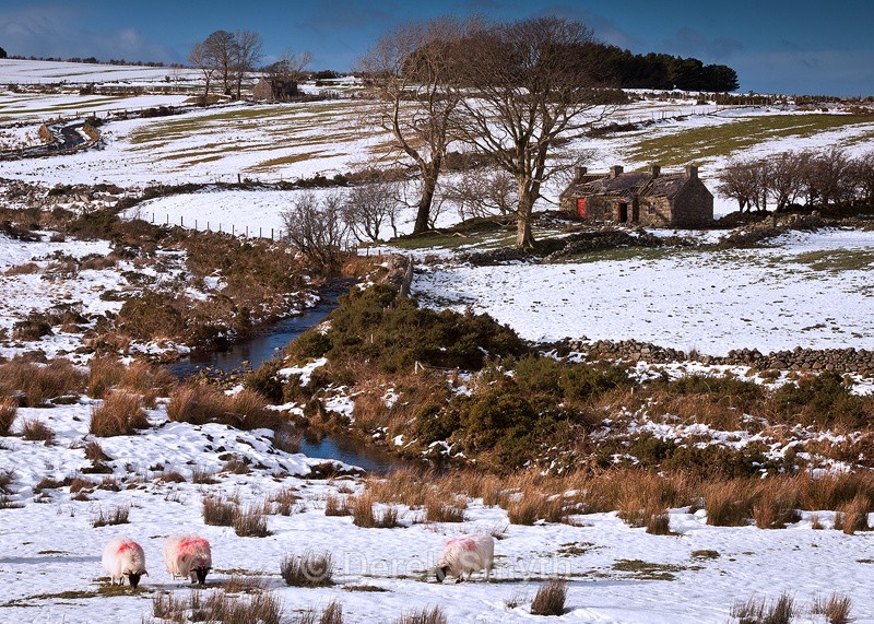Deserted Irish Cottages - Mourne Mountains Landscape Photograph