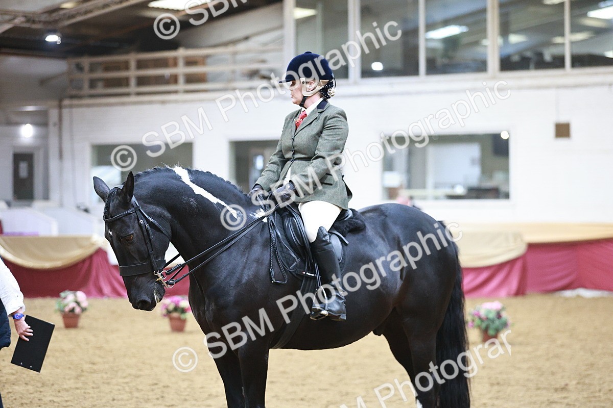 SBM_08970 - Class 12R - Regional Ridden Pre-Vet