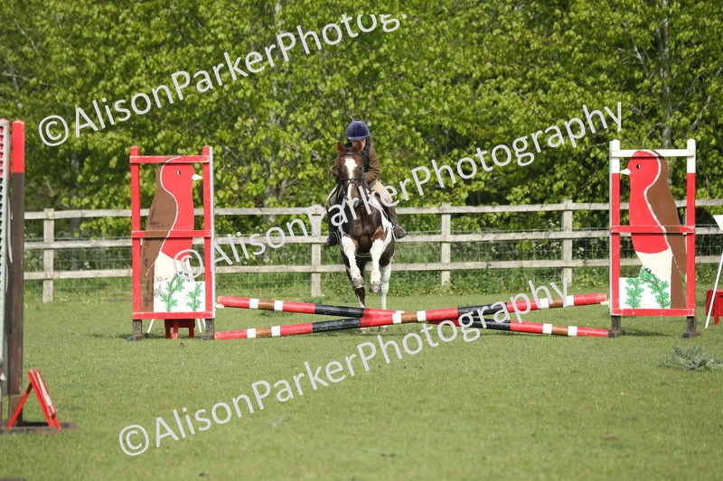 20260426-0057 - Class 13 - Rookie Jumping 50cm